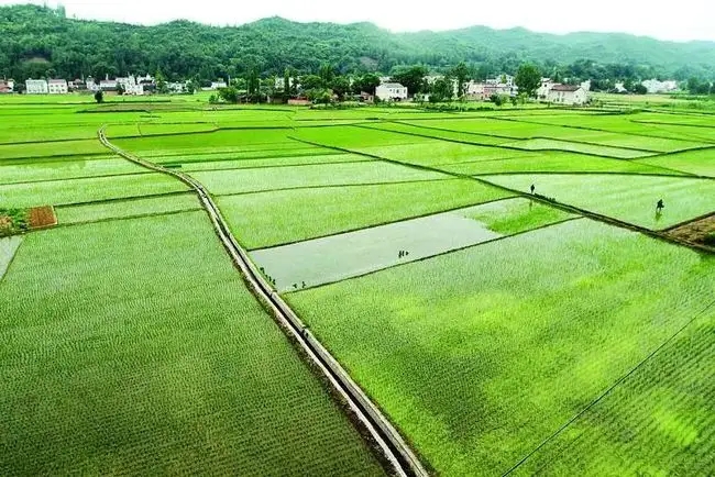 农田灌水管.jpg